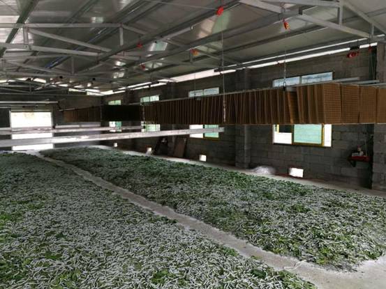 mmexport1531271981999