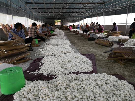 mmexport1530676068416