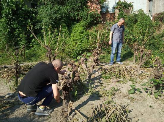 微信圖片_20190528141715